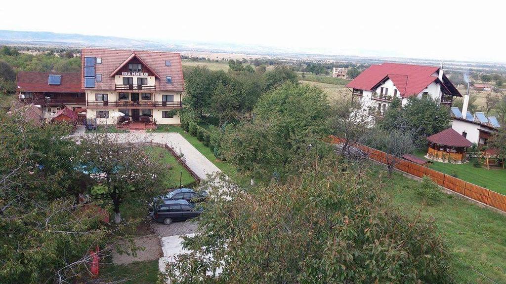 Pensiunea Roua Muntilor Сымбэта-де-Сус Экстерьер фото
